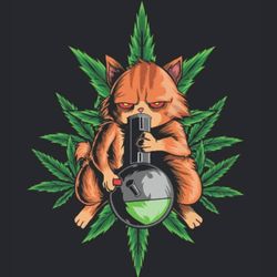 Cat Piss