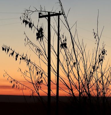 Love Field Dr by null