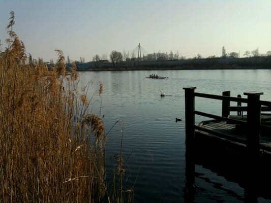Alte Donau by null