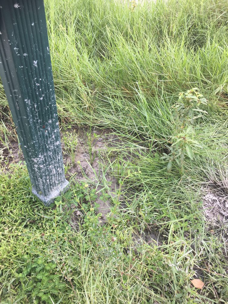 Slide of Alom Builders