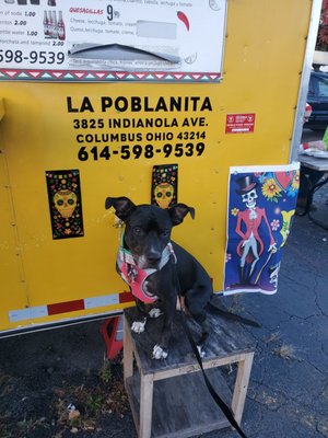 La Poblanita by null