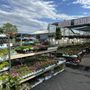 Photo of Kinner’s Springtime Flowers