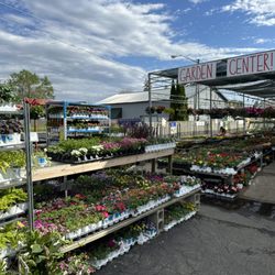 Kinner’s Springtime Flowers - Proven Winners and other brands of plants