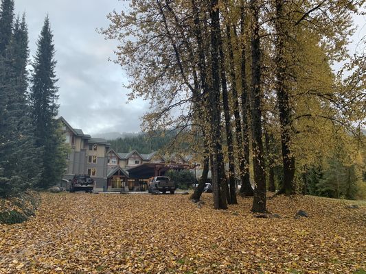 Aava Whistler Hotel by null