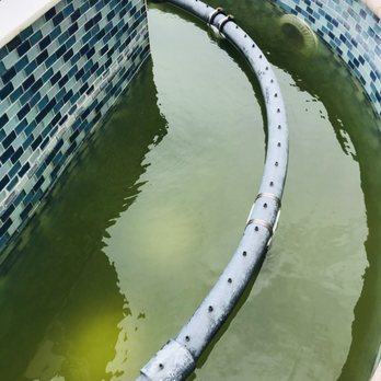 Residence Inn by Marriott - green algae fountain by pool - Hotels Near Me - Daytona Beach, Florida