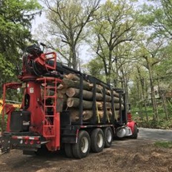 Jhonny's Tree Service - Tree Services Near Me - Flanders, New Jersey Jhonny's Tree Service - Tree Services Near Me - Flanders, New Jersey
