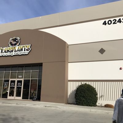 Transplants Brewing Company by null