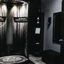 Photo of Tan Republic Keizer