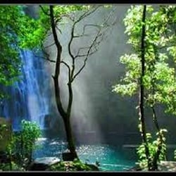 Cj Travel, Inc - Dreaming Philippines