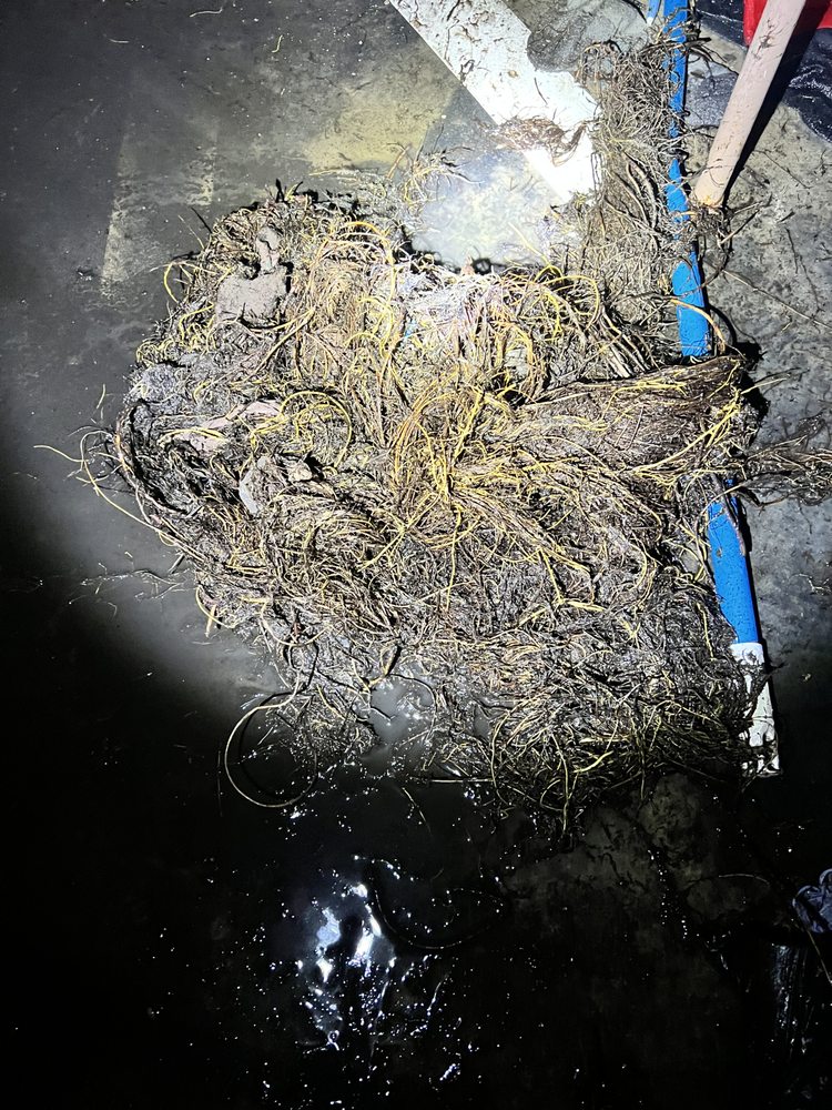 Slide of Integrity Plumbing