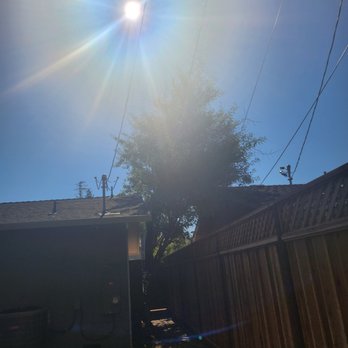 Tree Solutions & Green Care - Tree Services Near Me