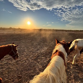 KOLI Equestrian Center - Venues & Event Spaces Near Me - Phoenix, Arizona KOLI Equestrian Center - Venues & Event Spaces Near Me - Phoenix, Arizona