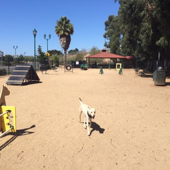College Park - Dog Parks Near Me - Oxnard, California