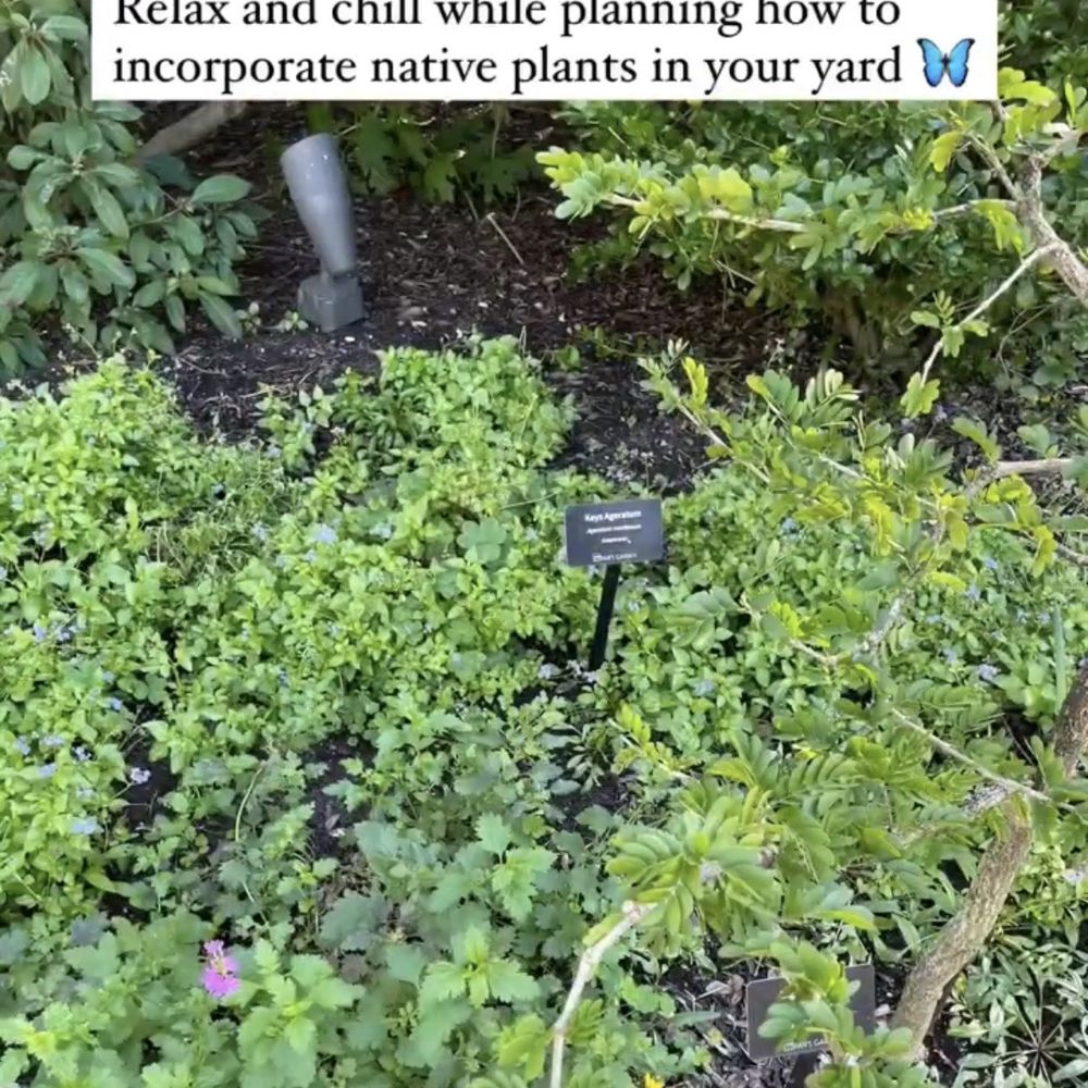 I love how all the plants are named I love how all the plants are named