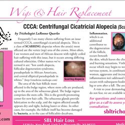 Hair Loss Center - Alopecia specialist literature
