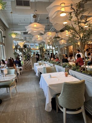 Succulent Fine Dining by null
