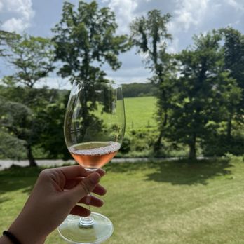 Zephaniah Farm Vineyard - Wineries Near Me - Leesburg, Virginia