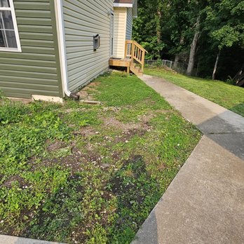 Snyder Landscape And Cleanup - Before - Landscaping Near Me - Truesdale, Missouri Snyder Landscape And Cleanup - Before - Landscaping Near Me - Truesdale, Missouri