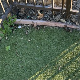 Onsite dog run