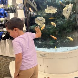 Aquarium Aquarium