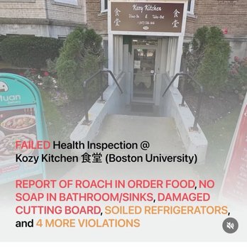 Kozy Kitchen - Hey Cindy's niece, do you know a business works? - Chinese Near Me - Boston, Massachusetts