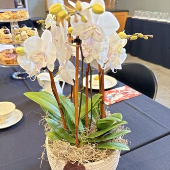 Central Market Cooking School - Orchid decoration. - Cooking Schools Near Me - Fort Worth, Texas Central Market Cooking School - Orchid decoration. - Cooking Schools Near Me - Fort Worth, Texas