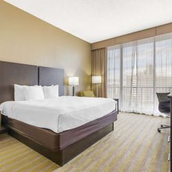 Best Western Corpus Christi - King Room
