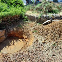 Action Sanitary - 1st Time Exposed Liquid Tank to "Pump Out"