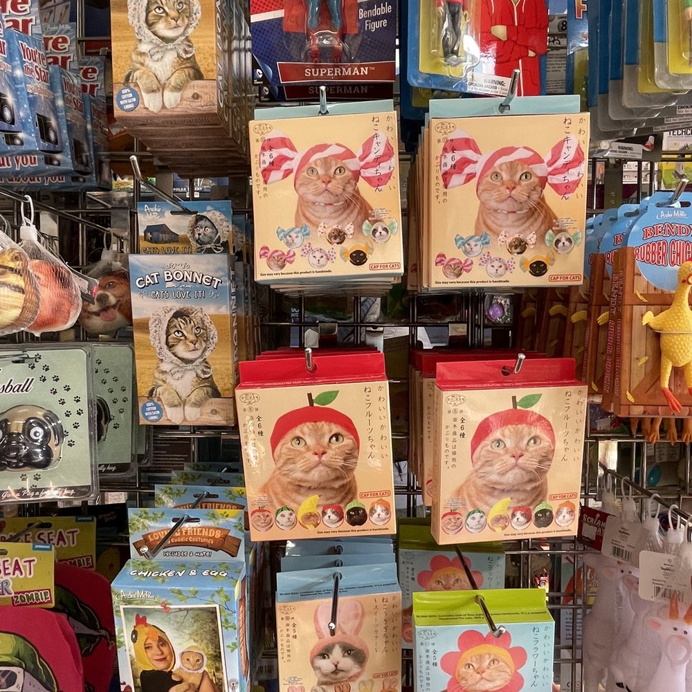 Archimage - Cat gifts - Department Stores Near Me - Rochester, New York Archimage - Cat gifts - Department Stores Near Me - Rochester, New York