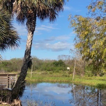CREW - Bird Rookery Swamp - Parks Near Me - Naples, Florida