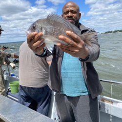 Island Current Fleet - Catching The Big One