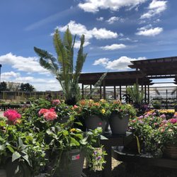 Knupper's Flower & Garden