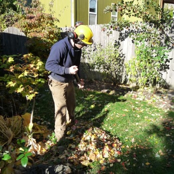 AK Timber Services, LLC - Even the other beds and grass areas are raked and cared for. - Tree Services Near Me - Vancouver, Washington AK Timber Services, LLC - Even the other beds and grass areas are raked and cared for. - Tree Services Near Me - Vancouver, Washington