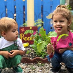 Miami Springs Montessori