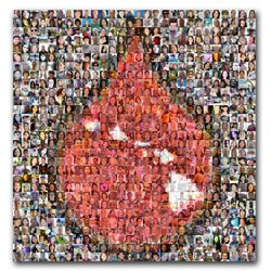 Blood Bank Of Hawaii 96 Photos 52 Reviews Blood Plasma