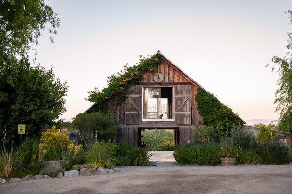 Lynmar Estate Winery by null