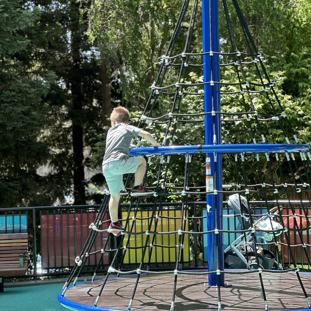 Play Area