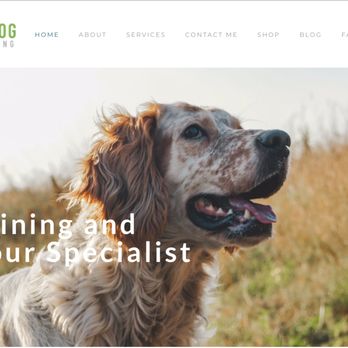 Reaves Projects - Squarespace design project for Dog Training service, UK - Web Design Near Me Reaves Projects - Squarespace design project for Dog Training service, UK - Web Design Near Me