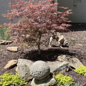 TNP Landscaping - Lawn Services Near Me TNP Landscaping - Lawn Services Near Me
