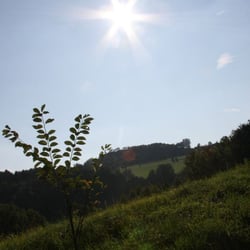 Wachstein - Wachstein im Gegenlicht