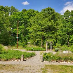 Joseph Bryan Park - Wild flower garden