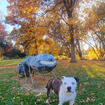Left Hand Creek Park - He's on a leash (photo tricks). - Parks Near Me - Longmont, Colorado Left Hand Creek Park - He's on a leash (photo tricks). - Parks Near Me - Longmont, Colorado