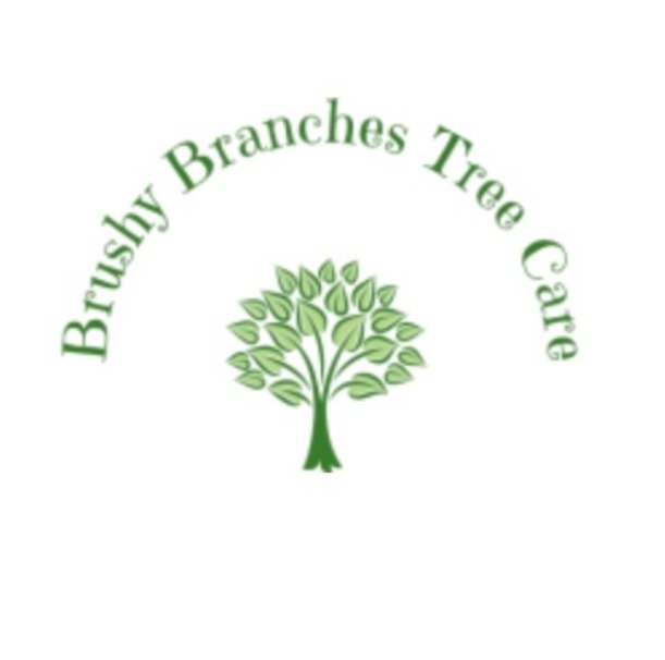 BRUSHY BRANCHES TREE CARE 1405 Kays Branch Rd, Owenton, Kentucky