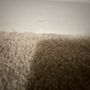 Photo of JC Carpet Cleaning