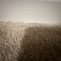 JC Carpet Cleaning