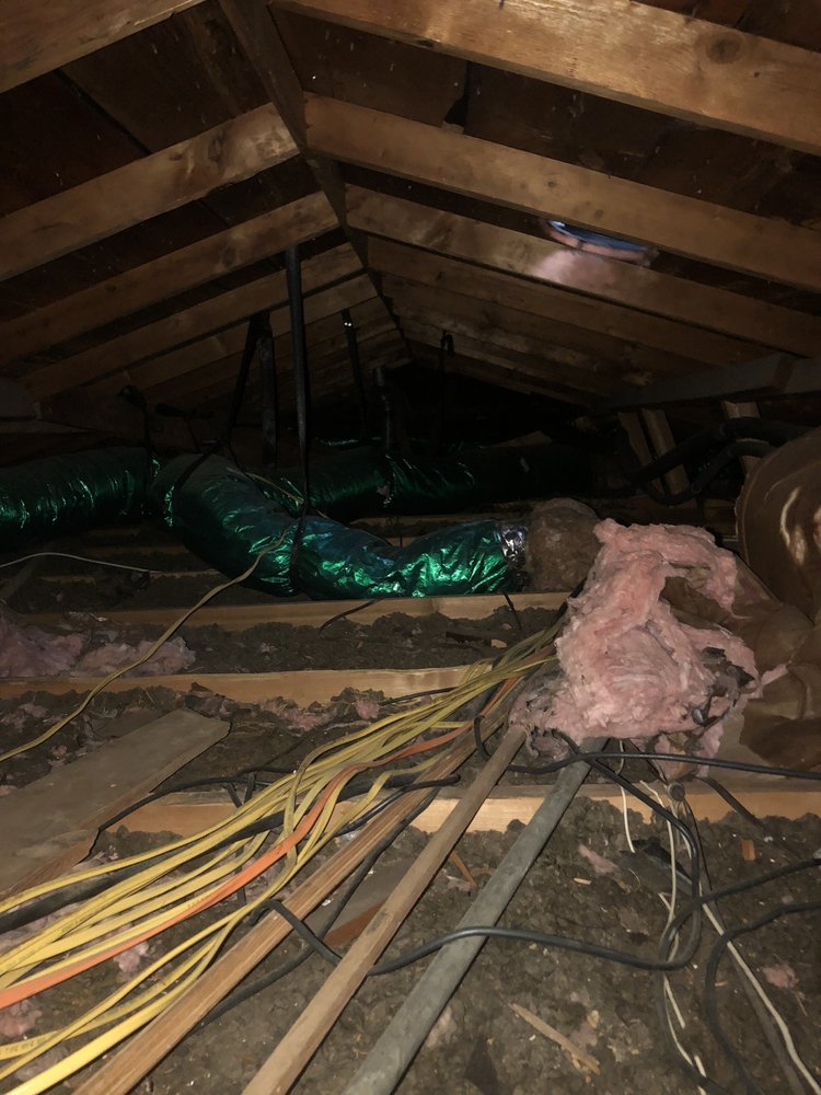ATTIC ZONE INSULATION Updated October 2024 13 Photos & 12 Reviews
