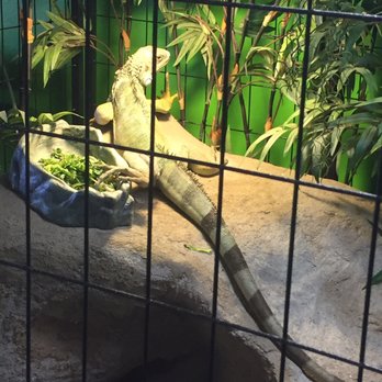 Parker Exotic Pets - Pet Stores Near Me - Parker, Colorado
