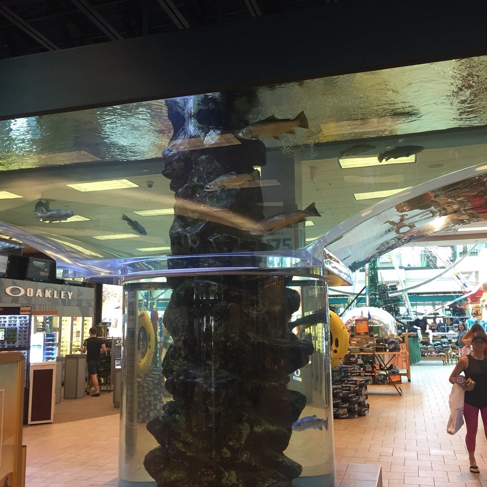 Scheels - Sports Wear Near Me - Sparks, Nevada Scheels - Sports Wear Near Me - Sparks, Nevada