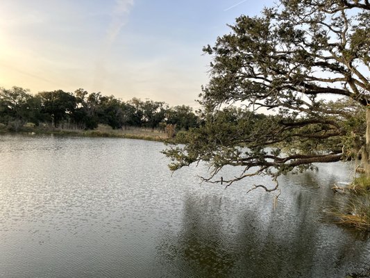 Louisiana Children's Museum by null