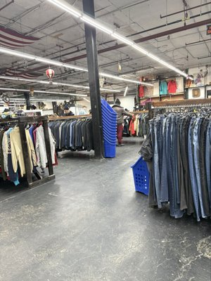 Urban Jungle by null